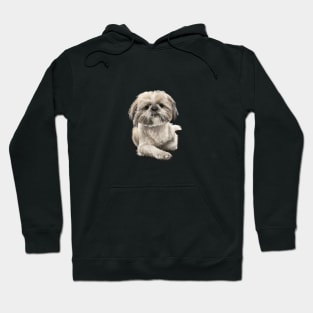 The Shih Tzu Hoodie